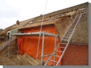 foto aanpassen rieten kap boerderij Haren i.v.m. hogere kozijnen in de gevel